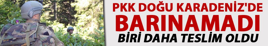 PKK Doğu Karadeniz'de barınamadı: Biri daha teslim oldu