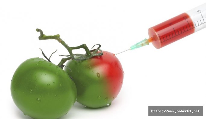 GDO'lu gıdalar helallik alamıyor