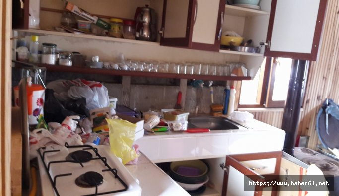 Karadeniz'de yaylacıları dehşete düşüren manzara!