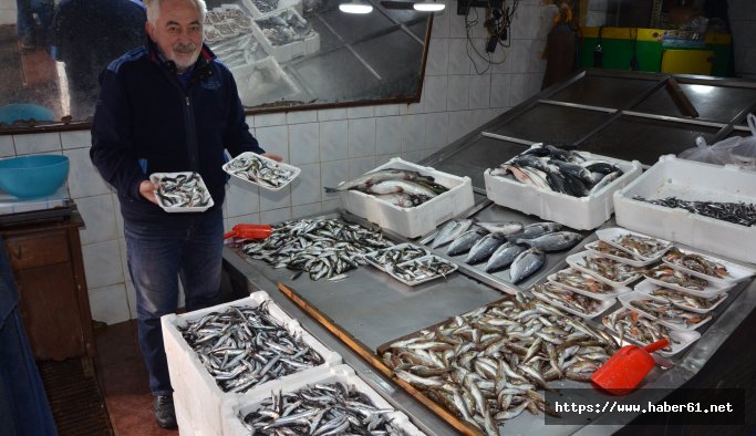 Karadeniz'in baştacı hamsi, artık zengin sofralarında