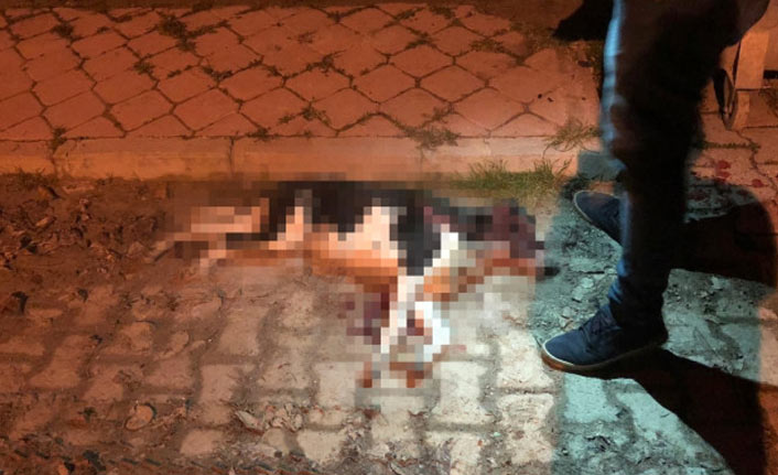 Isparta'da köpek vahşeti!