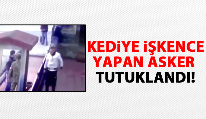 Erzincan'da kediye işkence yapan asker tutuklandı ama...