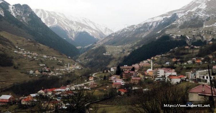 Adı 'Hamsiköy' ama Dünya böyle tanıyor!