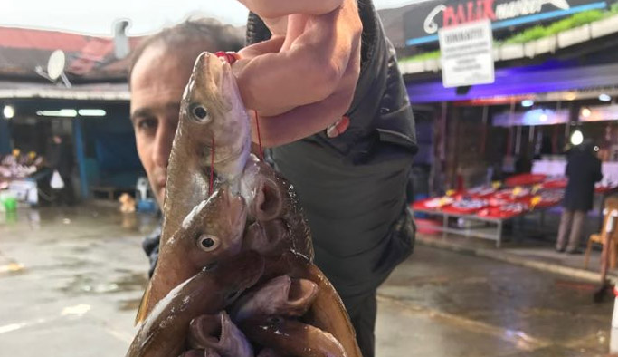 Trabzon’da balık fiyatları ateş pahası