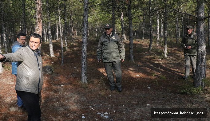 Orman memurları çam nöbetinde