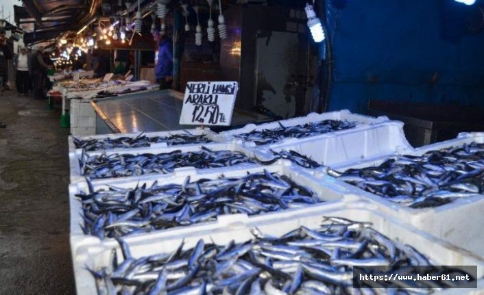 Trabzon'da gözler Rusya ve Gürcistan hamsisinde