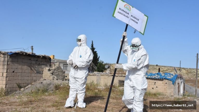 Kuduz paniği: Karantinaya alındılar