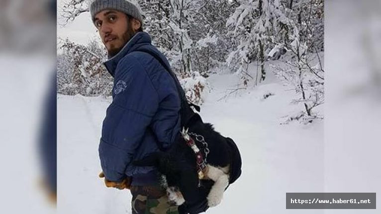 Hastalanan köpeğini çantasında 7 kilometre taşıdı