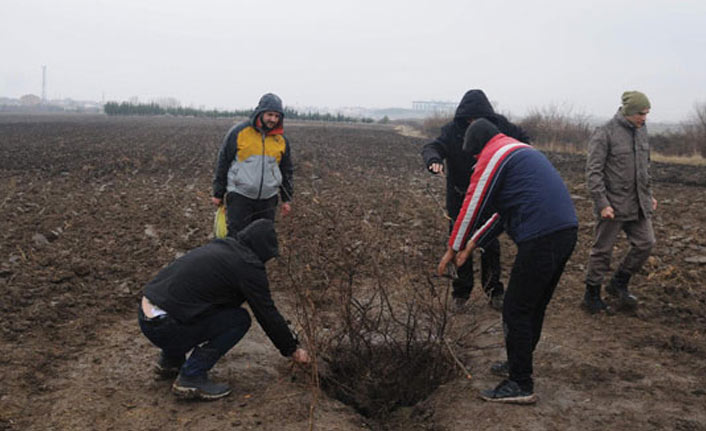 Tarlada bulunan tünelle ilgili çalışmaları sürüyor