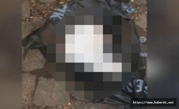 Cami bahçesindeki poşetten vahşet çıktı!