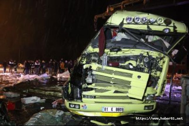Trabzon plakalı kamyon kaza yaptı, tonlarca hamsi yola saçıldı