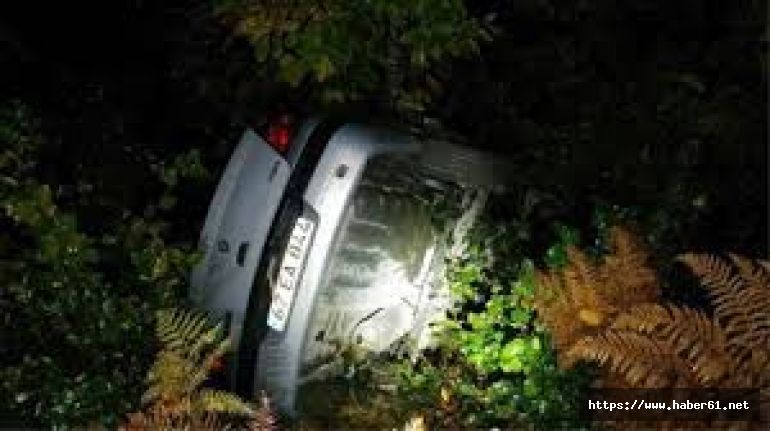 Otomobil 40 metrelik uçuruma yuvarlandı