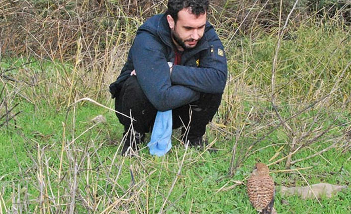 Yaralı halde buldu, gözü gibi bakıyor