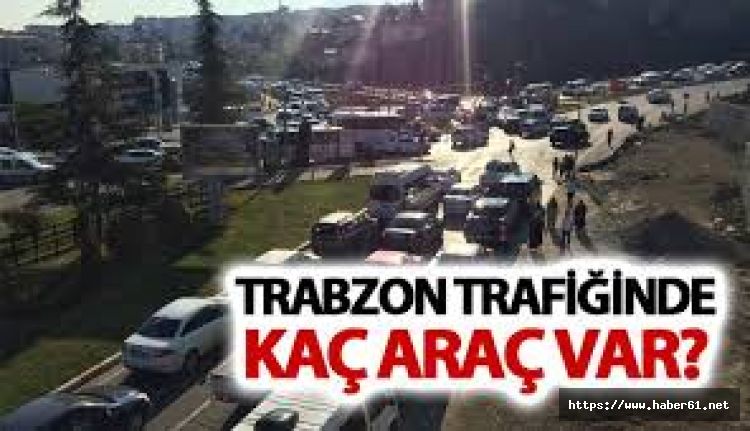 Trabzon'da trafikte kaç araç var?