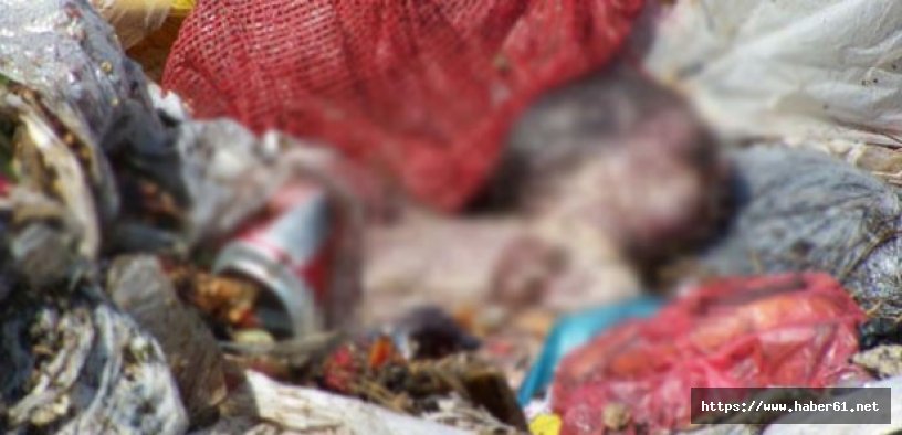 İnsanlığın öldüğü an... Yeni doğmuş bebeği çöpe attılar!