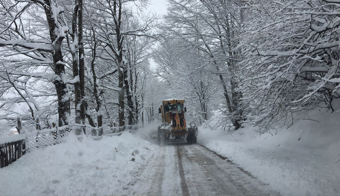 Doğu Karadeniz'de karla mücadele: 534 yol...