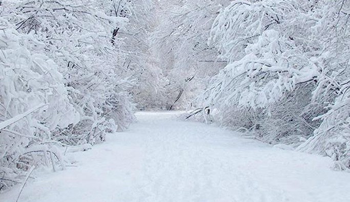 Kar Yağışı Trabzon ve Bölge İllerinde Ulaşımı Olumsuz Etkiledi
