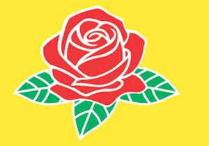 DTP'ye Soruşturma Açıldı