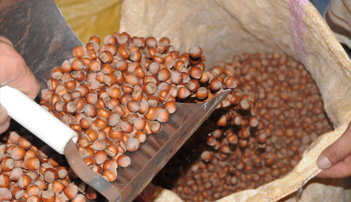 Zeytin Dalı Harekatı'na fındıklı destek