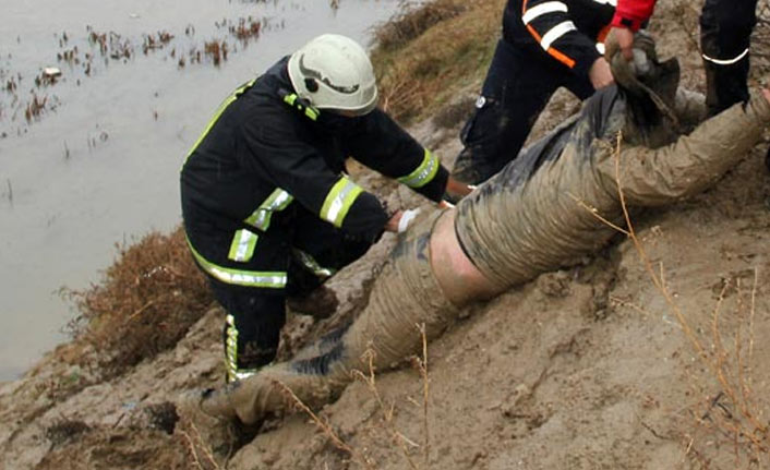 Köpeklerden kaçarken çamura saplandı