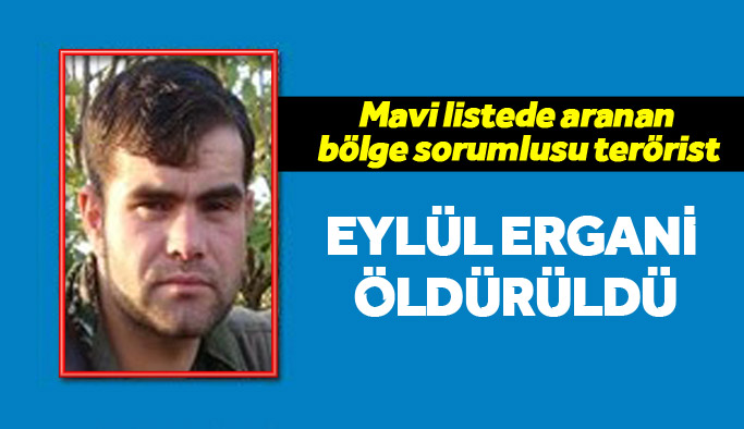 Mavi listede yer alan PKK'nın bölge sorumlusu öldürüldü