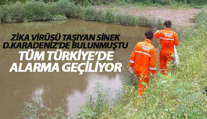 Zika virüsüne sebep olan sinek Türkiye'de aranacak