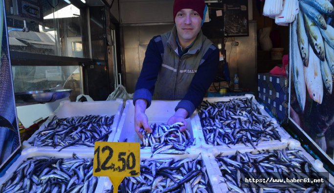 Hamsi sezonunda sona doğru yüzler gülmedi