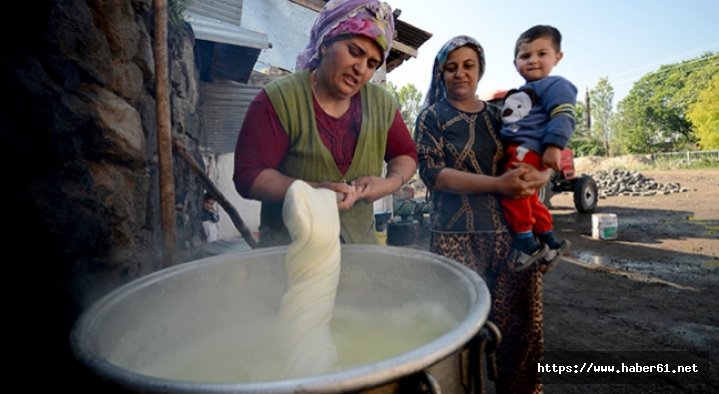 Şalpazarı’nda çiftçilere peynir yapım eğitimi