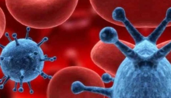 Trabzon'da şarbon krizi