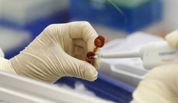 Trabzon Valiliği açıkladı: Tanısı koyulmadı