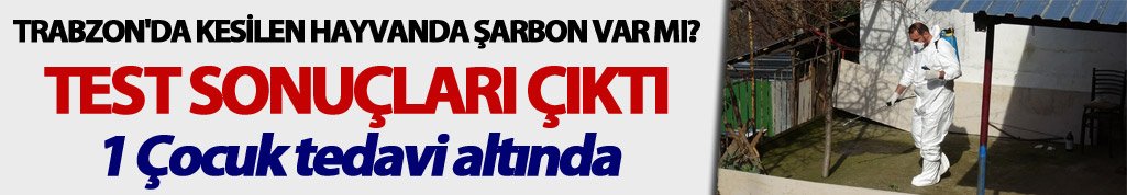Trabzon'da kesilen hayvanda şarbon var mı? Test sonuçları çıktı