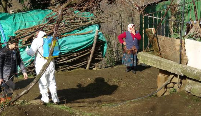 Trabzon'da şarbon krizinde son durum