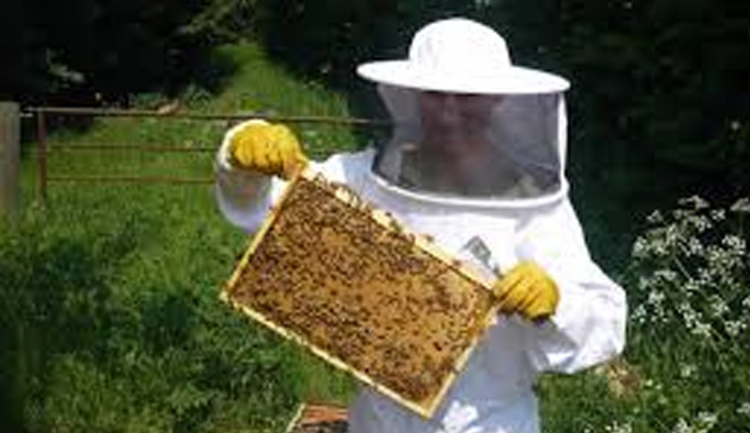 Trabzon’da Arıcılık Paneli Yapıldı