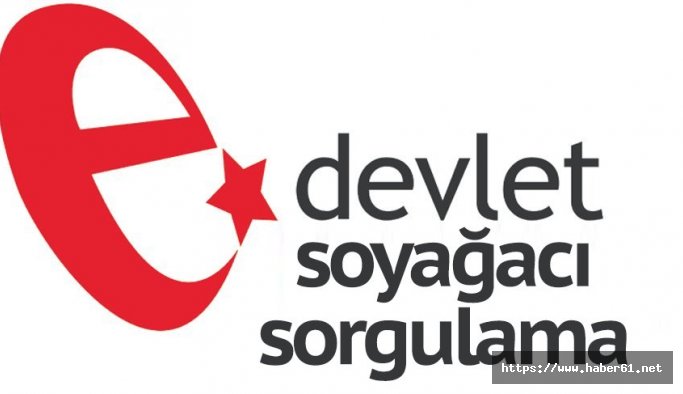 Soyağacını sorgulayanların sayısı açıklandı