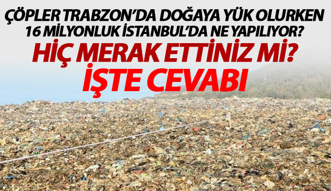 Çöpler Trabzon'da doğaya atılırken İstanbul'da bakın neler yapılıyor?