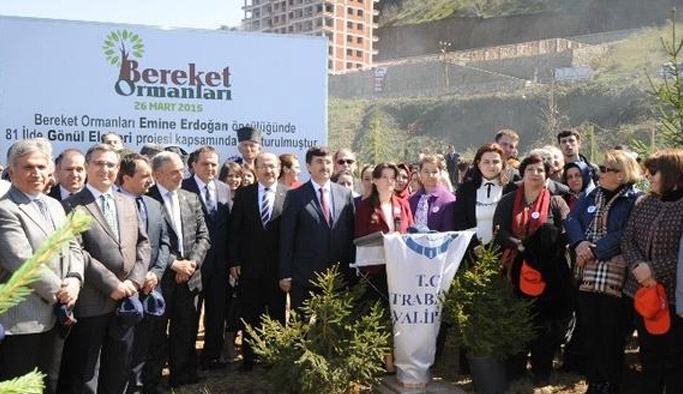 Yomra'daki Bereket Ormanı ile ilgili yeni gelişme