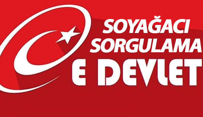 E devlet soyağacı sorgulama sistemi