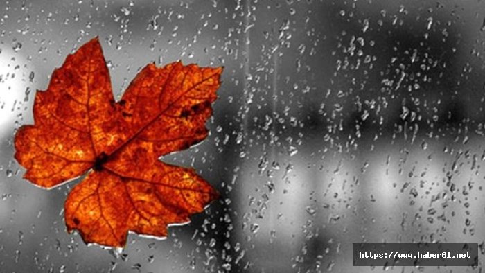 Orta Karadeniz'de yağışlı hava etkili olacak. 21.02.2018