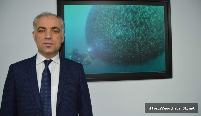 Karadeniz hamsisi tescillendi