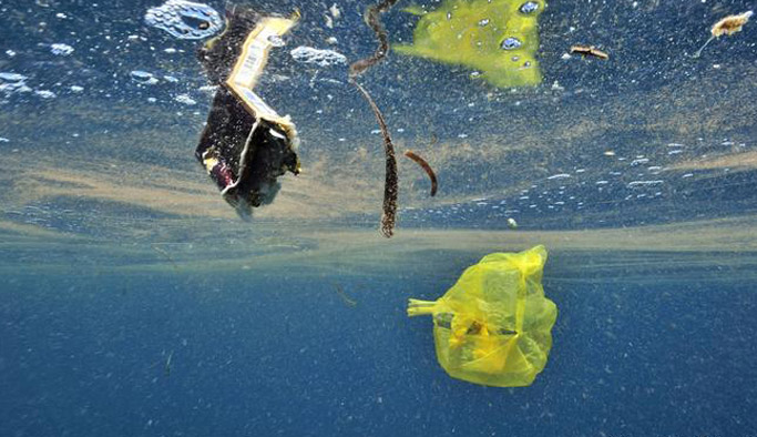 ABD'de çevreye zarar için rekor tazminat