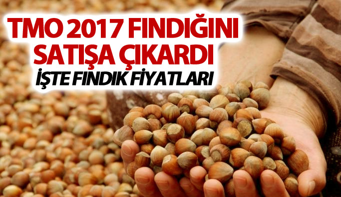 TMO 2017 fındığını satışa çıkardı