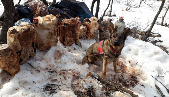 4 sığınak imha edildi, 150 kiloluk patlayıcı ele geçirildi