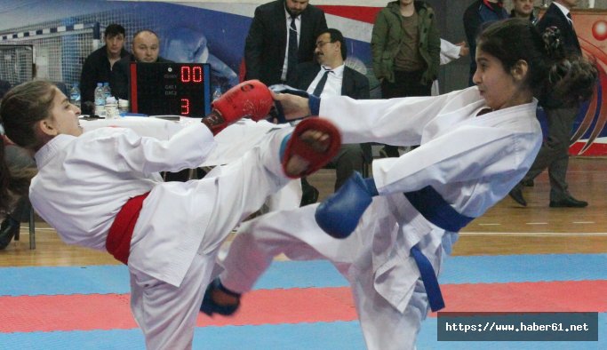 Karatede Trabzon ve Giresunlu sporculardan madalyalara ambargo 