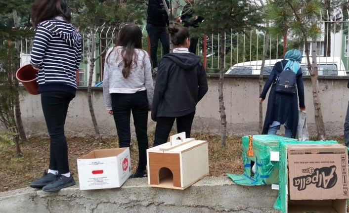 Lise öğrencileri can dostları için seferber oldu