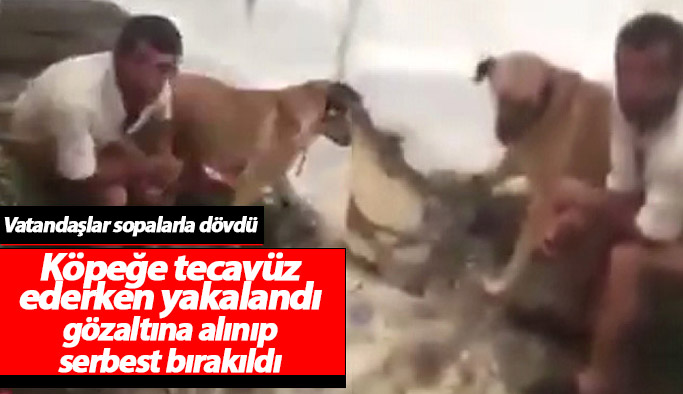 Köpeğe tecavüz ederken yakalandı, gözaltına alınıp bırakıldı