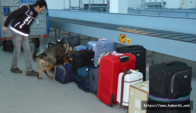 Ordu Giresun Havalimanı Cesi'nin burnuna emanet
