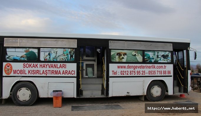 İlçe belediyesinden örnek uygulama: Mobil kısırlaştırma aracı