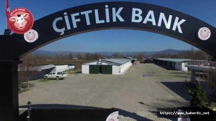 Çiftlikbank'a para yatıranlara kötü haber! Dolandırıldılar