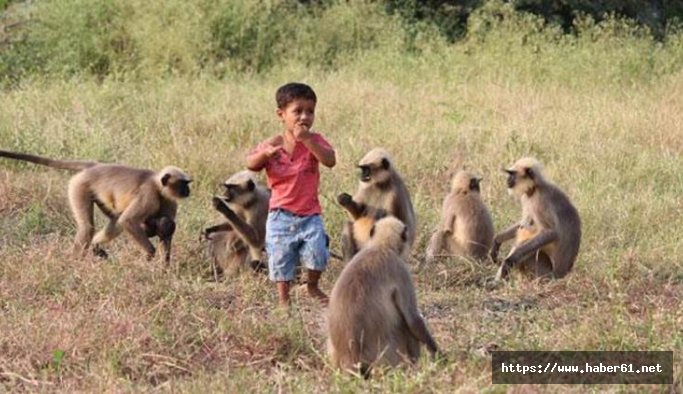 Hayvanlarla konuşuyor diye 2 yaşında tanrı ilan ettiler