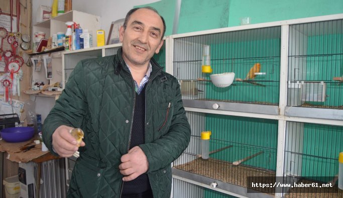 Trabzon'da hobi için 3 katlı tarihi evde muhabbet kuşu besliyor 